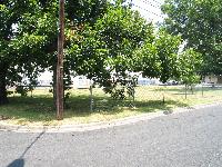 Park across the street, and the Habitat for Humanity warehouse behind that
