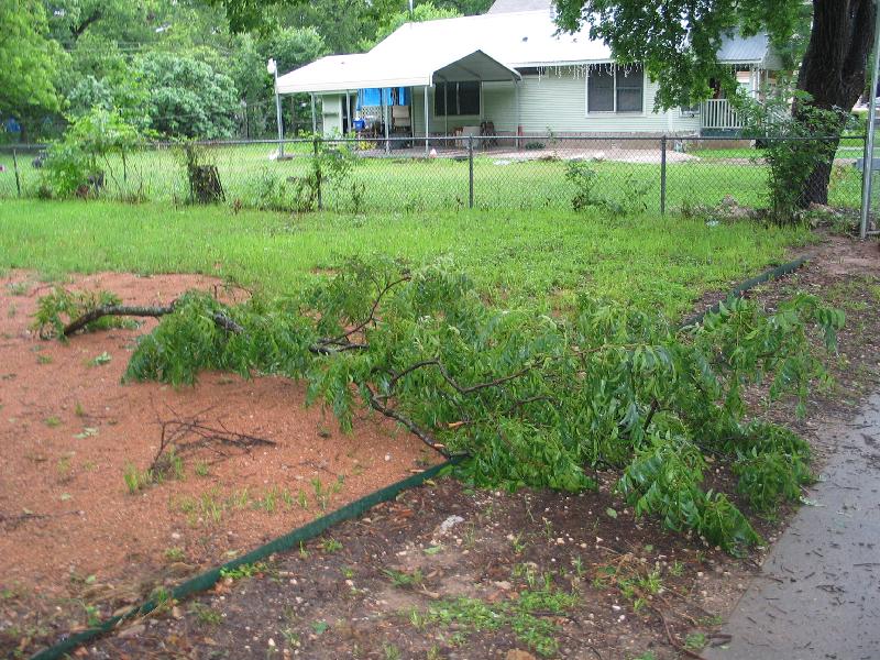 May 06 - branches down in front yard