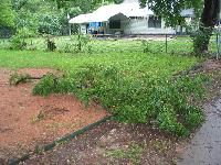 May 06 - branches down in front yard