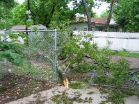 big branch and gate knocked down