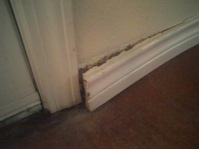 water damage at back door, unit B