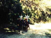 Horseback riding