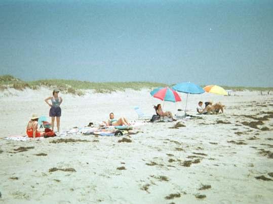 Generic Beach Scene
