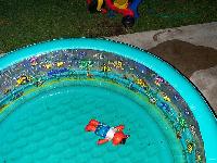 a horrible accident (ernie in the pool)