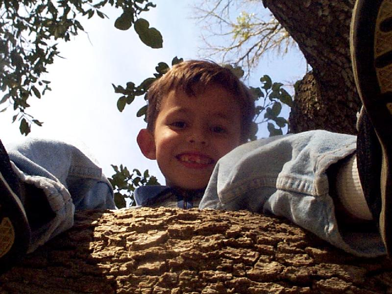 Travis, the instigator of the tree climbing