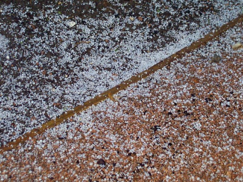 Closeup of pea-marble size hail