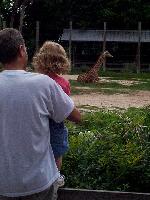 Nicole and her Grandpa Ron look at the giraffes