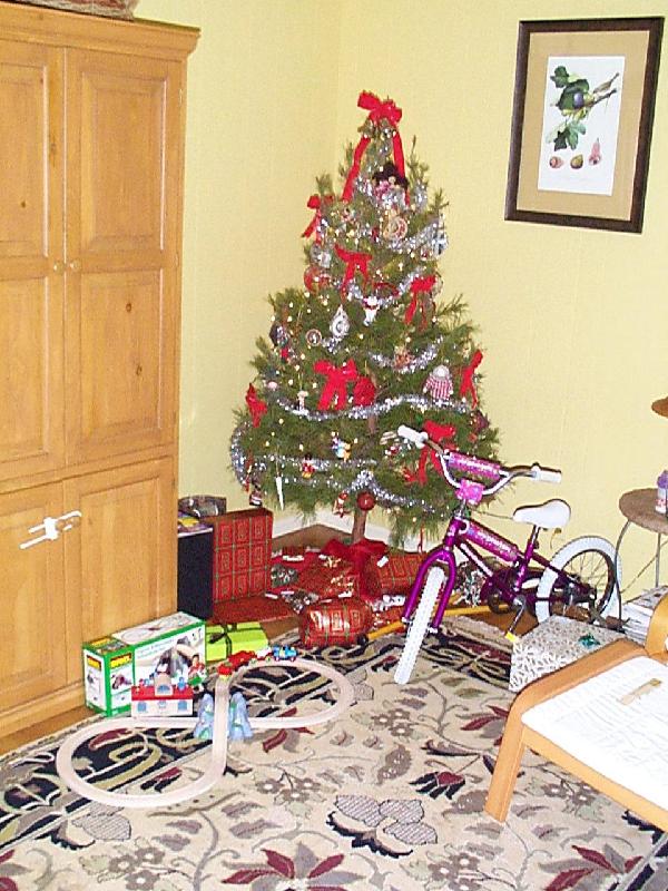 the tree, with goodies, Christmas Eve