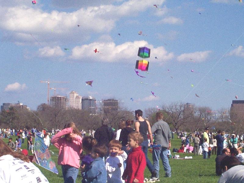 Kites with downtown in the background, and a dive-bombing box kite!