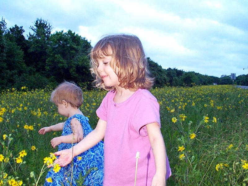 Playing in wildflowers