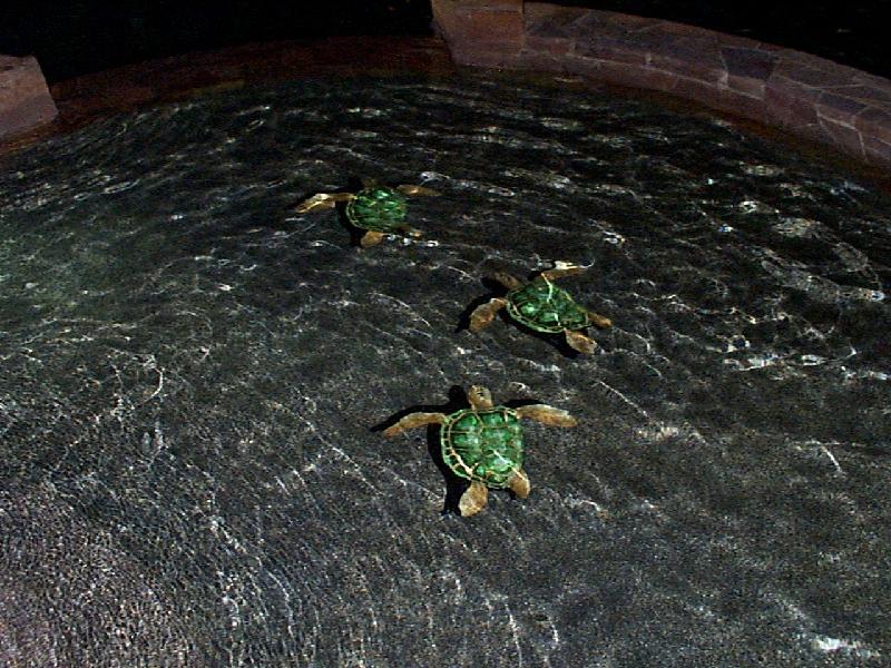 realistic mosaic turtles