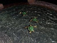 realistic mosaic turtles
