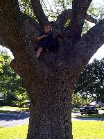 Jordan high up the tree