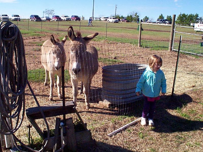 Jordan saying hello to the donkeys