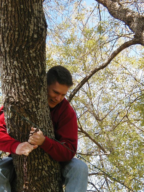 Papa up the tree swinging someone