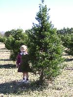 Jada standing next to the tree we picked