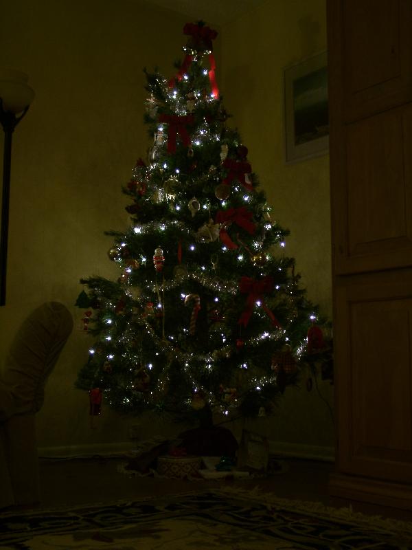 The tree all decorated - in 'glow mode'