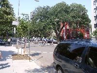 train of Washington DC bicycle cops