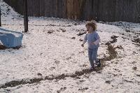 Jada running on the path left by the snowball
