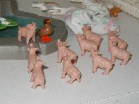 Pig Chorus
