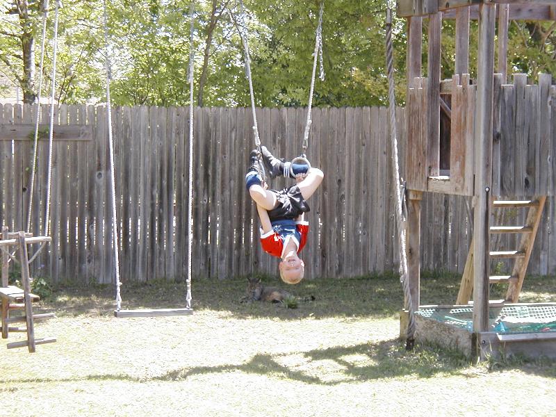 Swinging upside down is no problem