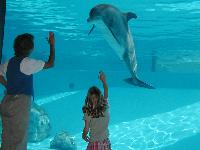 Jordan waving to a dolphin