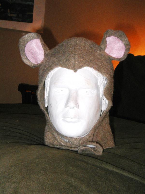Front view of mouse hood