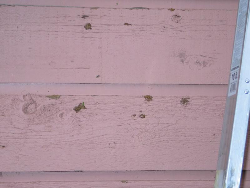 Paint 'splocks' on the north side of the house
