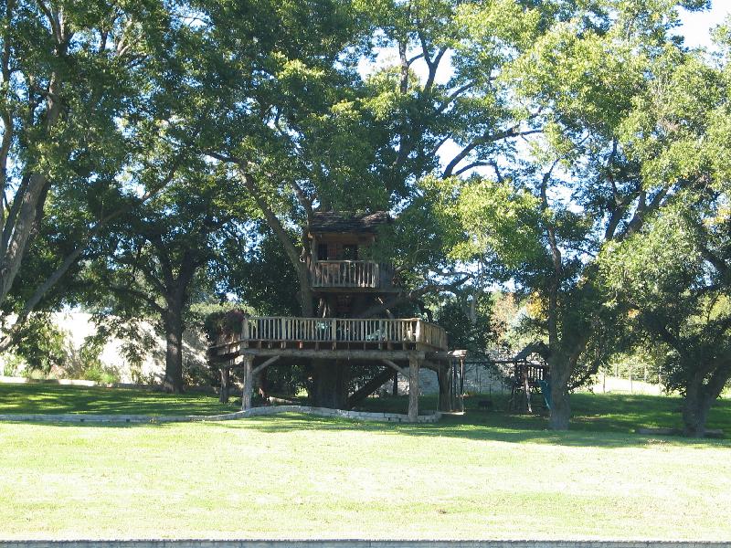 nice treehouse!