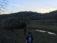 Evening hunting walk for feral pigs 