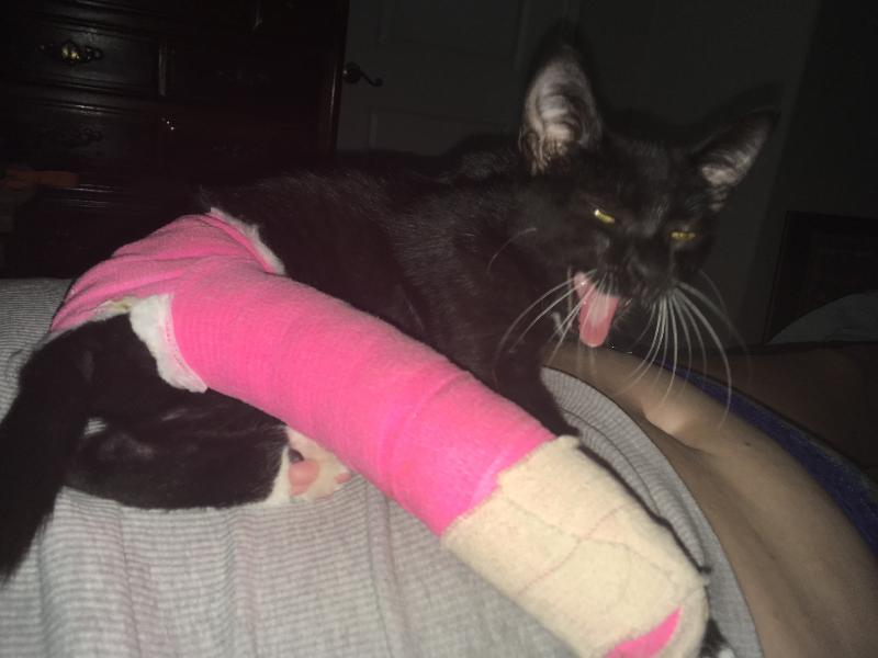 Irma and her cast
