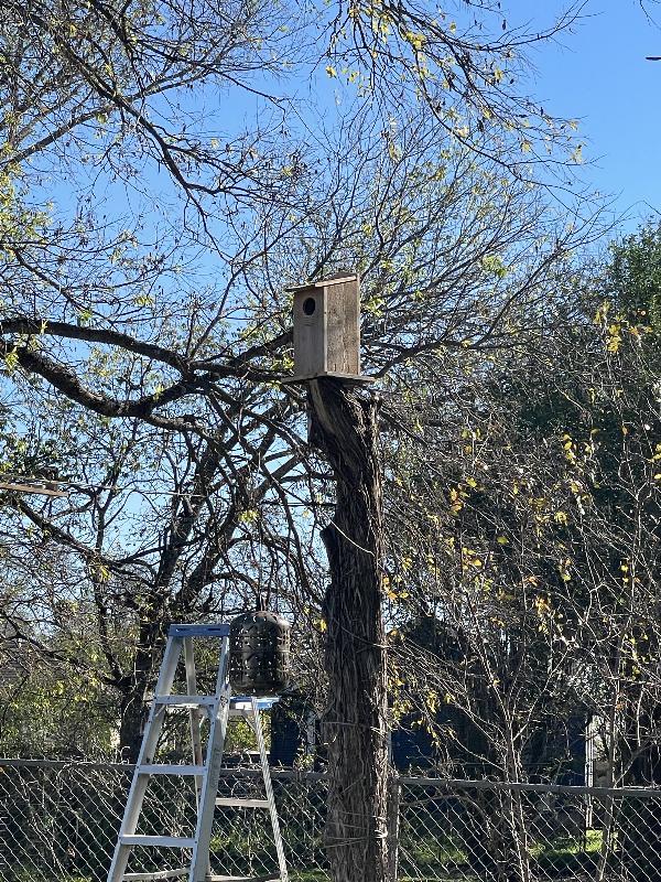 Finally installed the owl house
