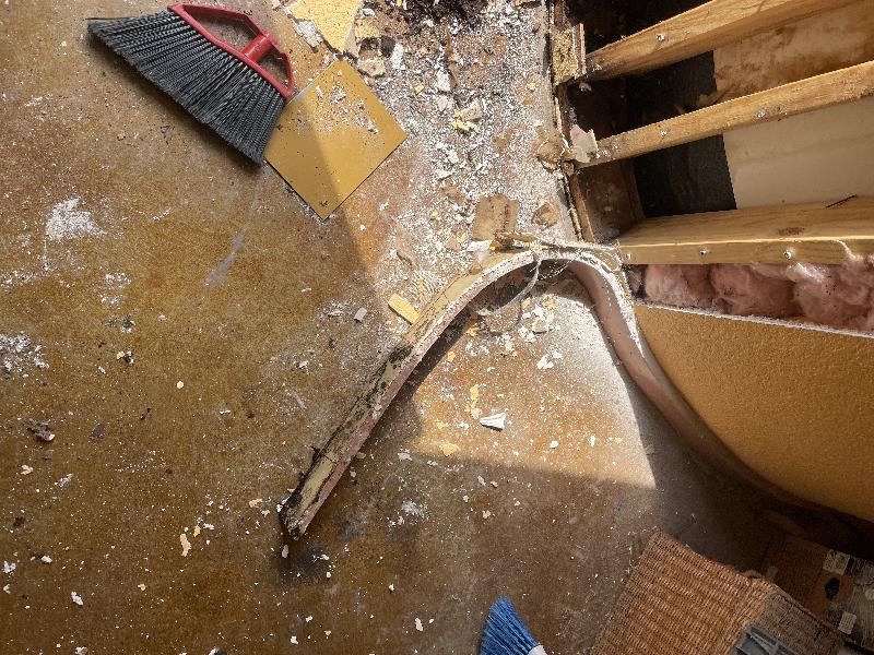 Mold on back of baseboard 
