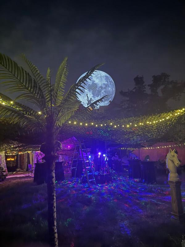 Plant Camp, Illuminated 
