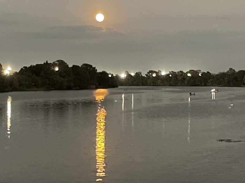 Moonrise over Town Lake 
