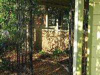 hog wire fence with bamboo covering