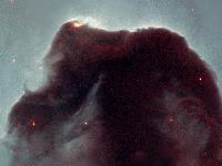 Eleven years in orbit: Hubble observes the popular Horsehead nebula