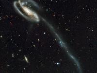 A 'wallpaper' of distant galaxies is a stunning backdrop for a runaway galaxy