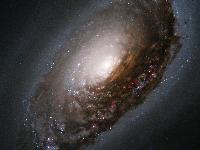 An Abrasive Collision Gives One Galaxy a 