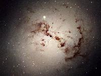 Hubble Spies Cosmic Dust Bunnies 