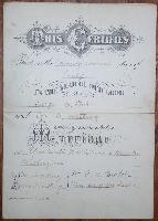 This is the marriage certificate of George Forbes and Ida Watting. They were married in Ypsilanti Michigan in July 1884.<br/><br/>Ida Forbes was my great great grandmother on my Mom's side of the family. 