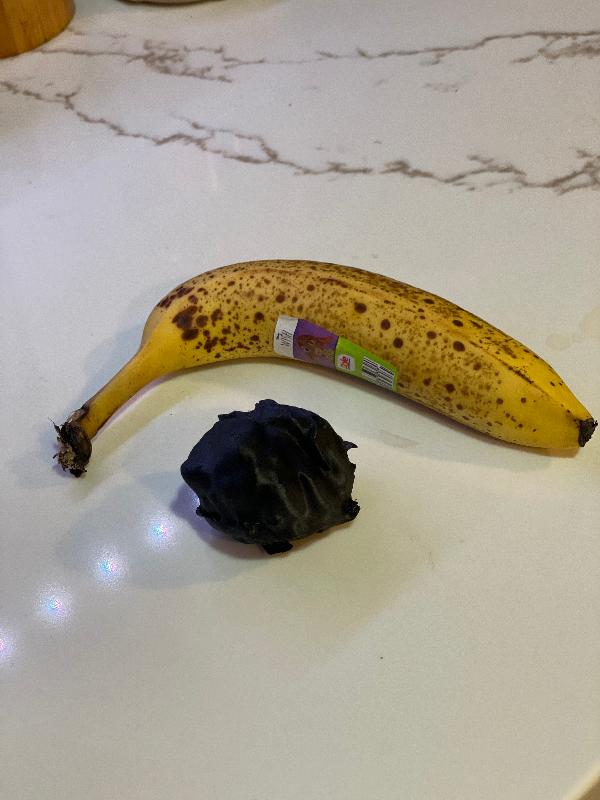 A 3D print at 1:1 scale of my tumor, extracted from my MRI. 