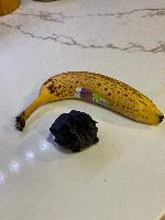 A 3D print at 1:1 scale of my tumor, extracted from my MRI. 