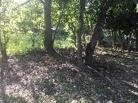 20181021-163013