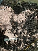 20200618-145614c