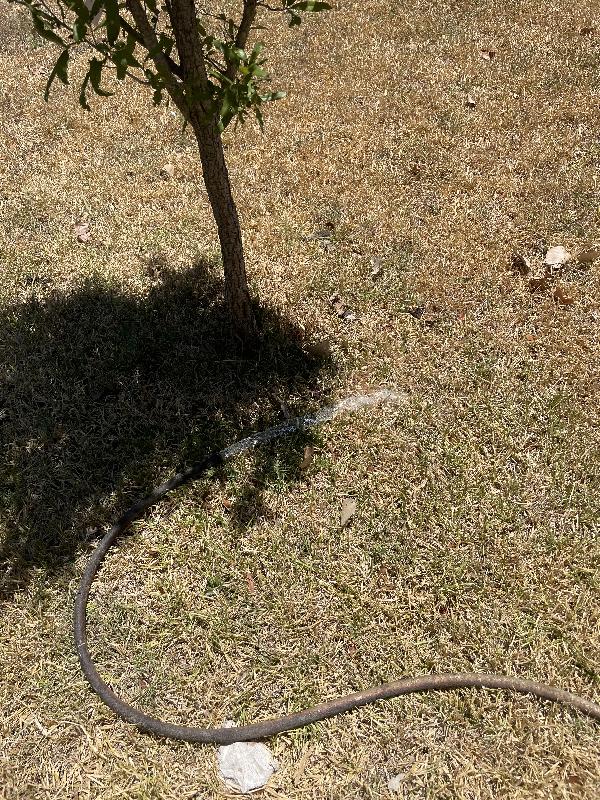 20220726-135622