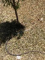 20220726-135622