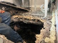 July 2022 - internal hole in the laundry room - very different 