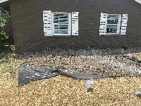 July 2022 - starting to fill in the holes 