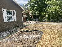 July 14 2022 - starting to fill in the holes <br/> 